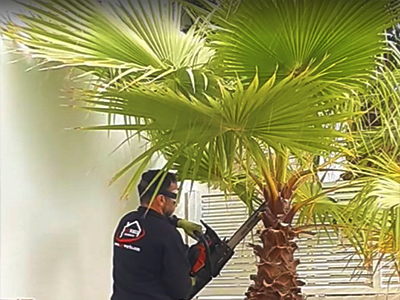 Jardinero en torrevieja y alrededores