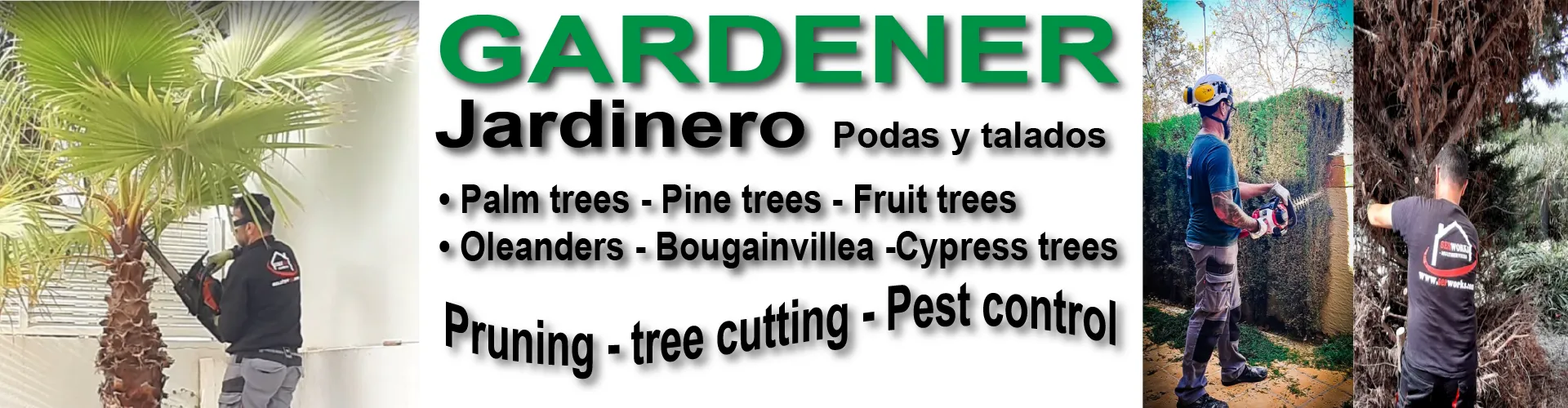 Mantenimiento de jardines y poda de palmeras profesional en Orihuela costa y Torrevieja